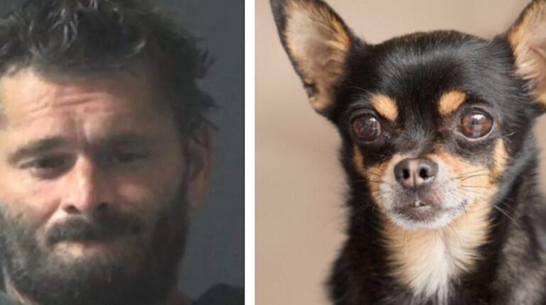 L’homme de 44 ans avoue enfin pourquoi il a commis l’irréparable : « Il aboyait trop et… » Abandon Animaux Ce chien Cruauté Animale faits divers justice Maltraitance Animale