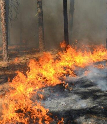 Un pompier catalan perd la vie dans une chute lors d’un incendie « presque éteint » près de Tarragone