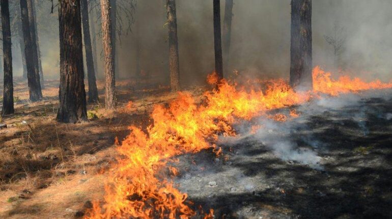 Un pompier catalan perd la vie dans une chute lors d’un incendie « presque éteint » près de Tarragone accident Catalogne Espagne Incendie Pompiers