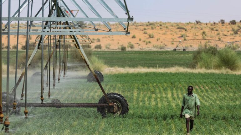 Ce jeudi 24 juillet, l’humanité franchit le seuil fatidique : voici ce que nous avons épuisé en seulement 7 mois Développement Durable Écologie environnement Jour du dépassement ressources naturelles surconsommation