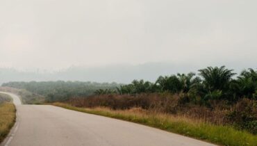 Accidents de la route Côte d'Ivoire pour le passage aux urgences Sécurité routière Transport en commun