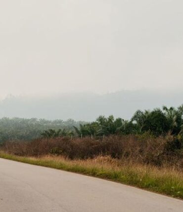 Côte d&rsquo;Ivoire : cette collision matinale qui a coûté la vie à 16 personnes sur la route de Ouagadougou