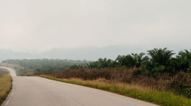 Côte d’Ivoire : cette collision matinale qui a coûté la vie à 16 personnes sur la route de Ouagadougou Accidents de la route Côte d'Ivoire pour le passage aux urgences Sécurité routière Transport en commun