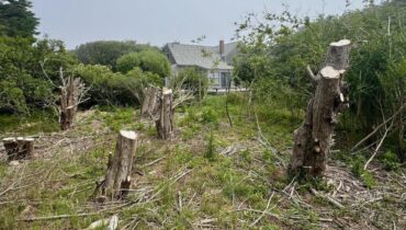 Droit immobilier faits divers justice Litige de voisinage Propriété privée