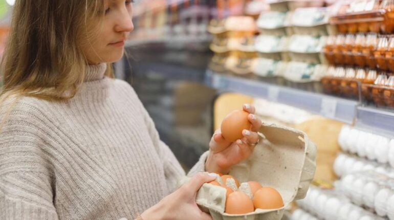 Urgent : ces œufs Lorrain’oeuf vendus chez Leclerc et Carrefour contiennent cette bactérie dangereuse grande distribution Rappel produits Salmonelles Santé Publique Sécurité alimentaire Séparateur d’œufs