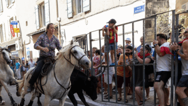 accident Eygalières faits divers Marseille Fête votive les images d’un taureau Saint-Laurent-de-la-Cabrerisse