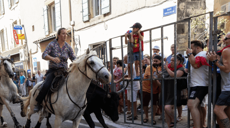 Joël Ceaglio meurt à 4 jours d’intervalle : ce qui s’est réellement passé lors de la fête de la Saint-Laurent accident Eygalières faits divers Marseille Fête votive les images d’un taureau Saint-Laurent-de-la-Cabrerisse