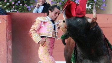 accusent la France agriculture Aveyron Corrida Espagne Ivan Fandiño Tauromachie Torero