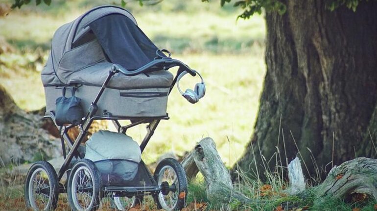 Bébé abandonné dans un jardin : quatre membres de sa famille retrouvés morts à 130 km de là Abandon animal Allaiter son bébé drame enquête États-Unis famille Tennessee