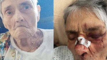 avantages anciens présidents Ehpad justice Maltraitance Animale Ministère de la Santé Négligence Témoignages