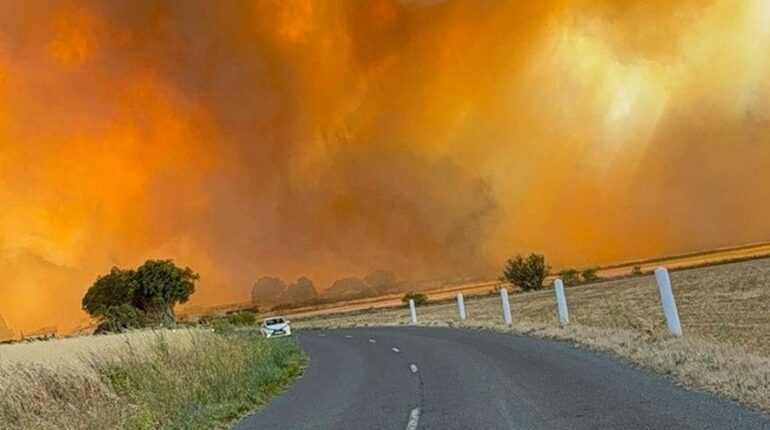 Incendie de l’Aude : elle avait refusé d’évacuer en disant « Je ne risque rien », la tragique fin d’une habitante de 60 ans accusent la France Actualités animales Aude Catastrophe naturelle Incendie Sécurité Civile