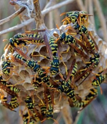 « J&rsquo;étais prête à tout » : la méthode radicale de cette retraitée de 78 ans pour récupérer sa maison