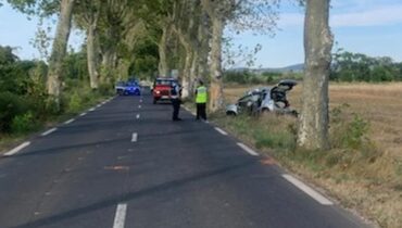 accident Actualités animales Circulation drame Gignac Hérault Sécurité routière