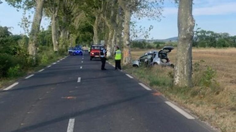 Sa fille de 5 ans sort miraculeusement indemne du drame qui a coûté la vie à sa mère accident Actualités animales Circulation drame Gignac Hérault Sécurité routière