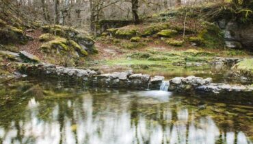 Tarn-et-Garonne : ce détail bouleversant sur la découverte des jumeaux dans l’étang familial