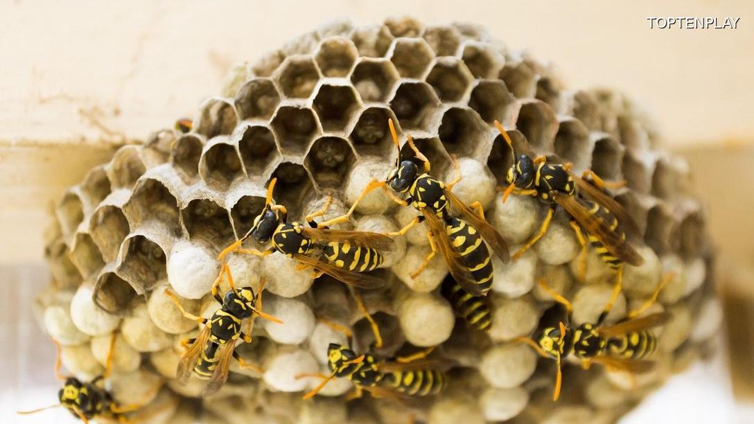 Image d'illustration © TopTenPlay