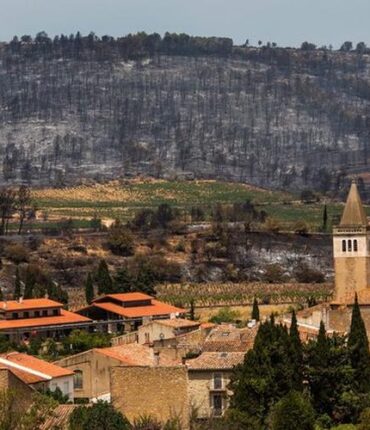 Stella, 67 ans, n&rsquo;a pas voulu partir à cause de son chien : elle périt dans l&rsquo;incendie de Saint-Laurent-de-la-Cabrerisse