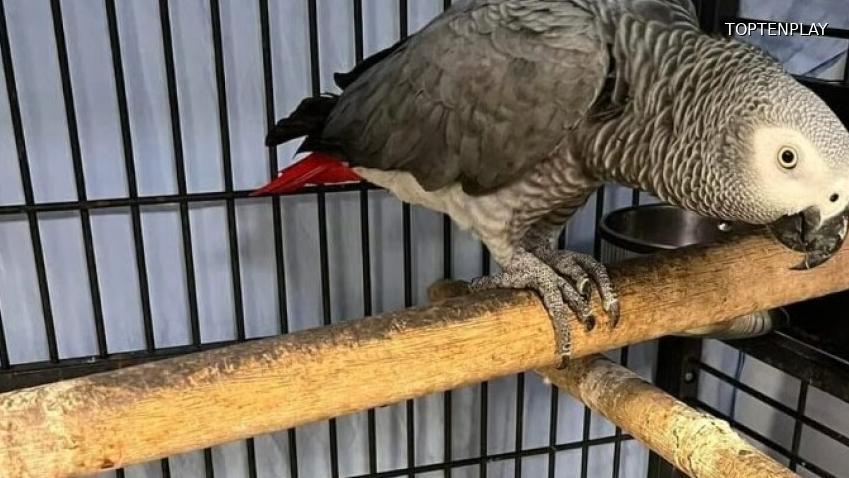 Image d'illustration © TopTenPlay