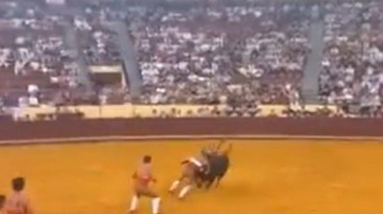 À 22 ans, Manuel Trindade meurt lors de sa première corrida : les mots déchirants de sa mère face aux critiques Corrida Décès Portugal Tauromachie Torero tragédie
