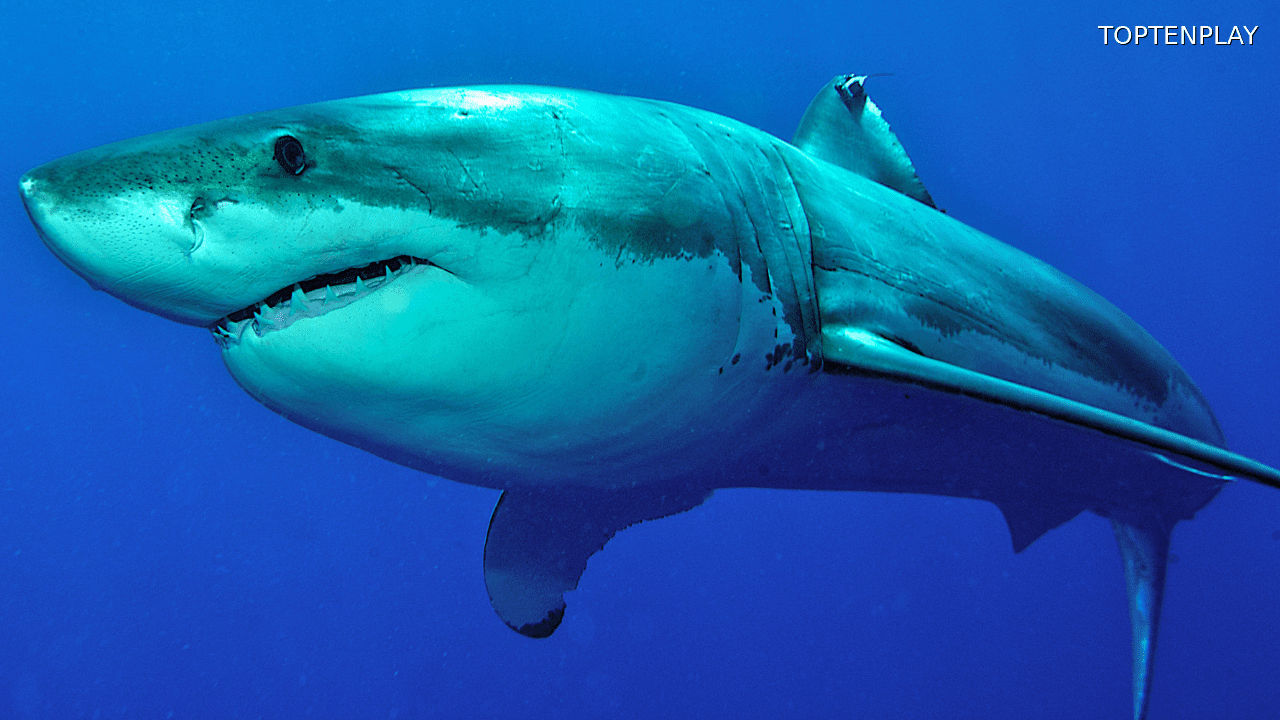 Image d'illustration © TopTenPlay