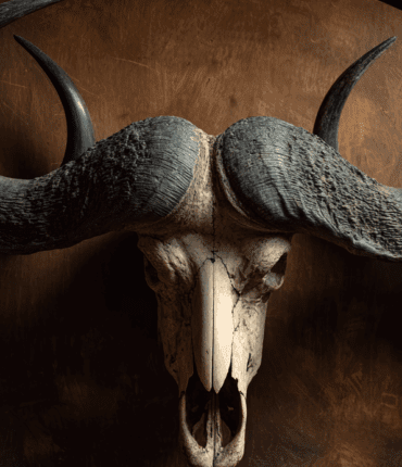 Révélations sur la mort d&rsquo;Asher Watkins : ce détail crucial que personne n&rsquo;avait vu venir