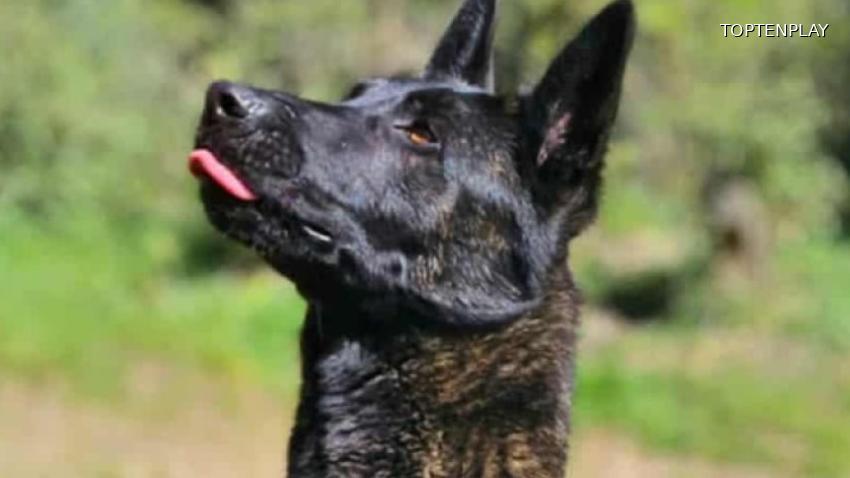 Image d'illustration © TopTenPlay