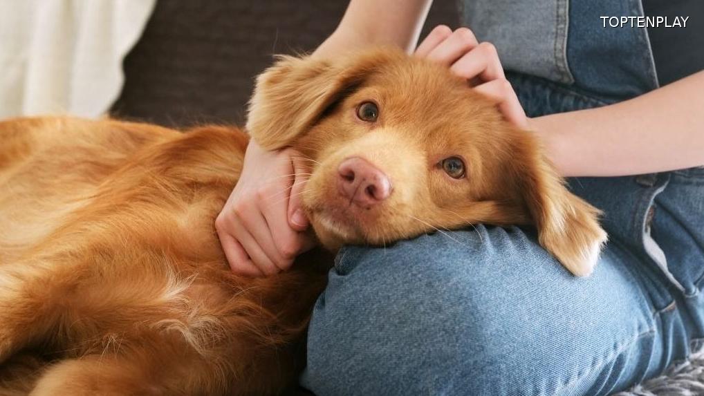 Image d'illustration © TopTenPlay