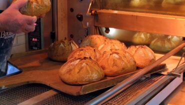 Actualités animales Agression Alcool au volant Boulangerie faits divers Grenoble