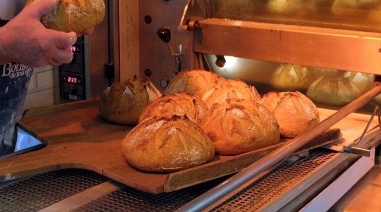 À 24 ans, il sort avec sa pelle à pain pour défendre sa boulangerie : ce qui se passe ensuite bouleverse Grenoble Actualités animales Agression Alcool au volant Boulangerie faits divers Grenoble