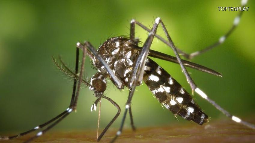 Image d'illustration © TopTenPlay