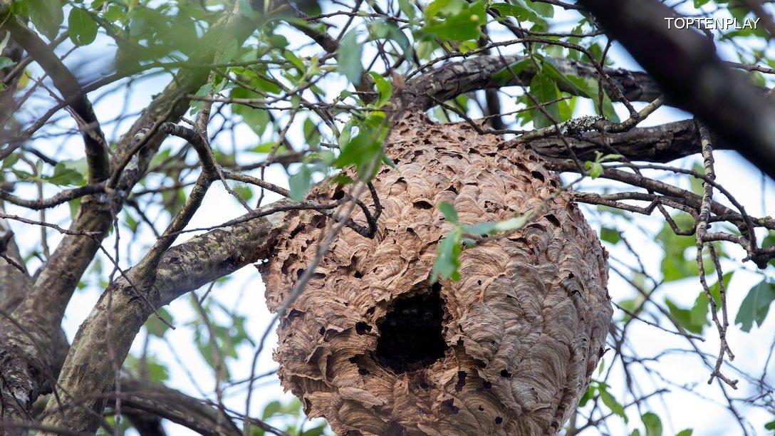 Image d'illustration © TopTenPlay