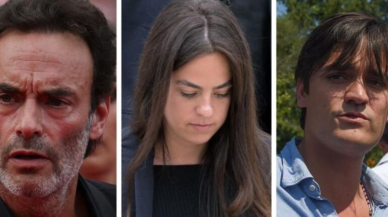 La bataille judiciaire d’Alain-Fabien Delon : « Mon père n’était plus… » Alain Delon famille Héritage justice Procédure judiciaire Succession politique