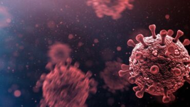 accusent la France Choix prénoms covid-19 Santé Publique vaccination obligatoire Variant