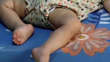 allaité trois enfants faits divers garde d'enfants injustice Maltraitance Animale Tribunal