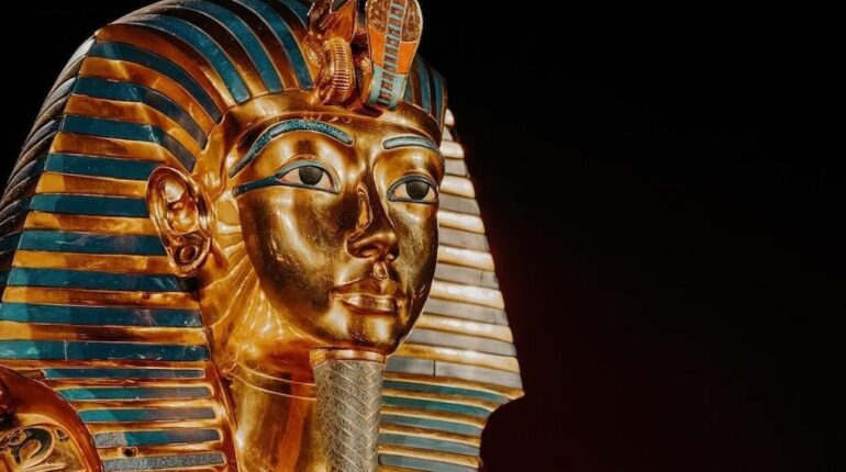 Le champignon de la « malédiction des pharaons » pourrait révolutionner la lutte contre la leucémie Accepter le traitement Biotechnologie Boissons énergisantes cancer champignons Leucémie recherche médicale