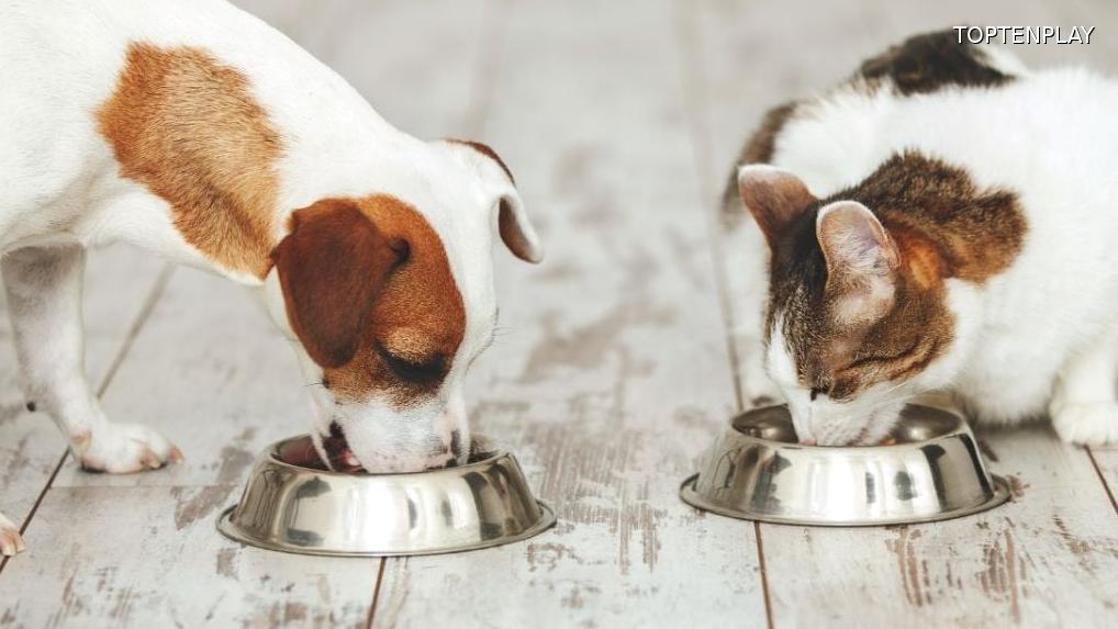 Image d'illustration © TopTenPlay