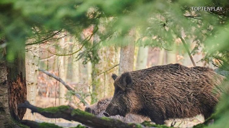 Image d'illustration © TopTenPlay