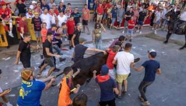 accident Aramon Beyoncé et sa queue-de-cheval Palmier Des regards de « scarface drame Fête votive les images d’un taureau