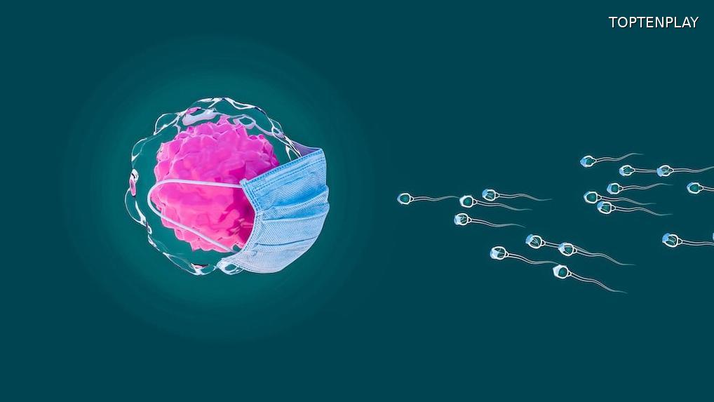 Image d'illustration © TopTenPlay