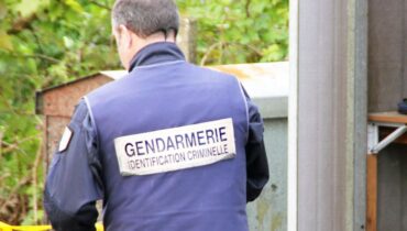 Actualités animales faits divers Homicide involontaire injustice Rennes Saint-Malo