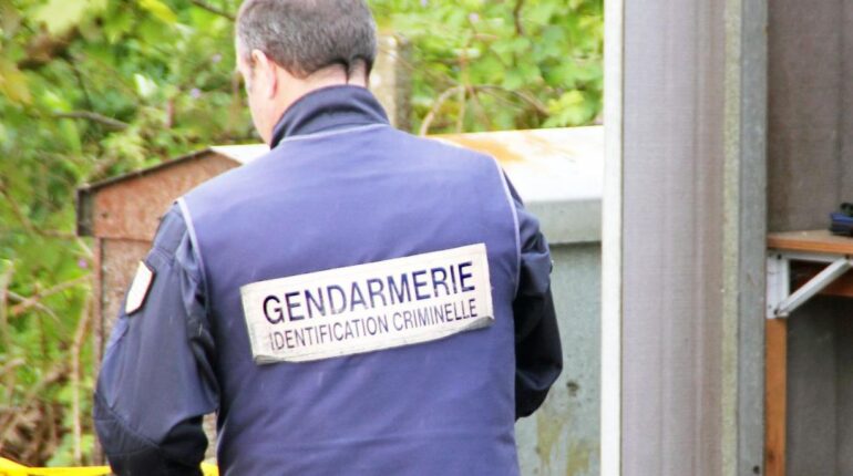 Actualités animales faits divers Homicide involontaire injustice Rennes Saint-Malo