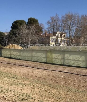 À 18 ans, Lucas révèle ce qui s&rsquo;est vraiment passé lors de la vente de la ferme familiale : « Il s&rsquo;agirait d&rsquo;un ancien commerçant qui… »