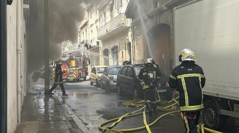 Incendie à Béziers : pourquoi des serpents se cachaient dans cet appartement rempli de livres Abandon Animaux Appartment Béziers Incendie livres Serpents