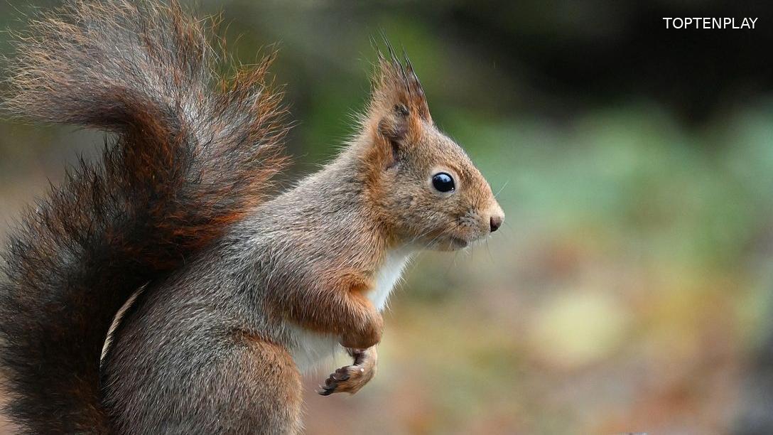 Image d'illustration © TopTenPlay