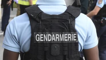 agression animale Ce chien faits divers Haute-Garonne Héroïsme premiers secours
