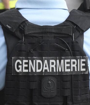 Une voisine héroïque sauve une fillette de 2 ans d&rsquo;un chien enragé : « J&rsquo;ai attrapé le couteau et… »