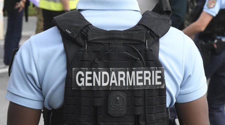 Une voisine héroïque sauve une fillette de 2 ans d’un chien enragé : « J’ai attrapé le couteau et… » agression animale Ce chien faits divers Haute-Garonne Héroïsme premiers secours