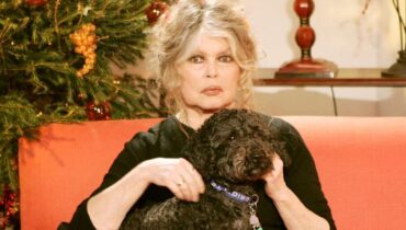 Actualités animales Actualités people Brigitte Bardot Ces actrices Fake news