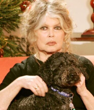 Brigitte Bardot sort du silence après la fake news : « Je ne sais pas quel est l&rsquo;imbécile qui… »