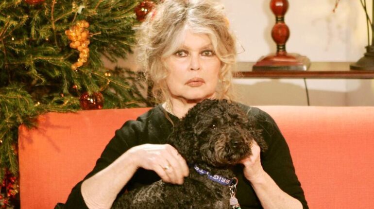 Brigitte Bardot sort du silence après la fake news : « Je ne sais pas quel est l’imbécile qui… » Actualités animales Actualités people Brigitte Bardot Ces actrices Fake news